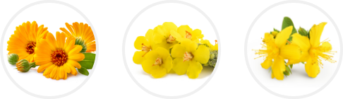 Mieszanka wyciągów ziołowych (z kwiatu nagietka, kwiatu dziewanny i ziela dziurawca)